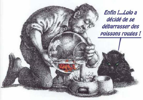 hors du bocal 0003-humourenvrac